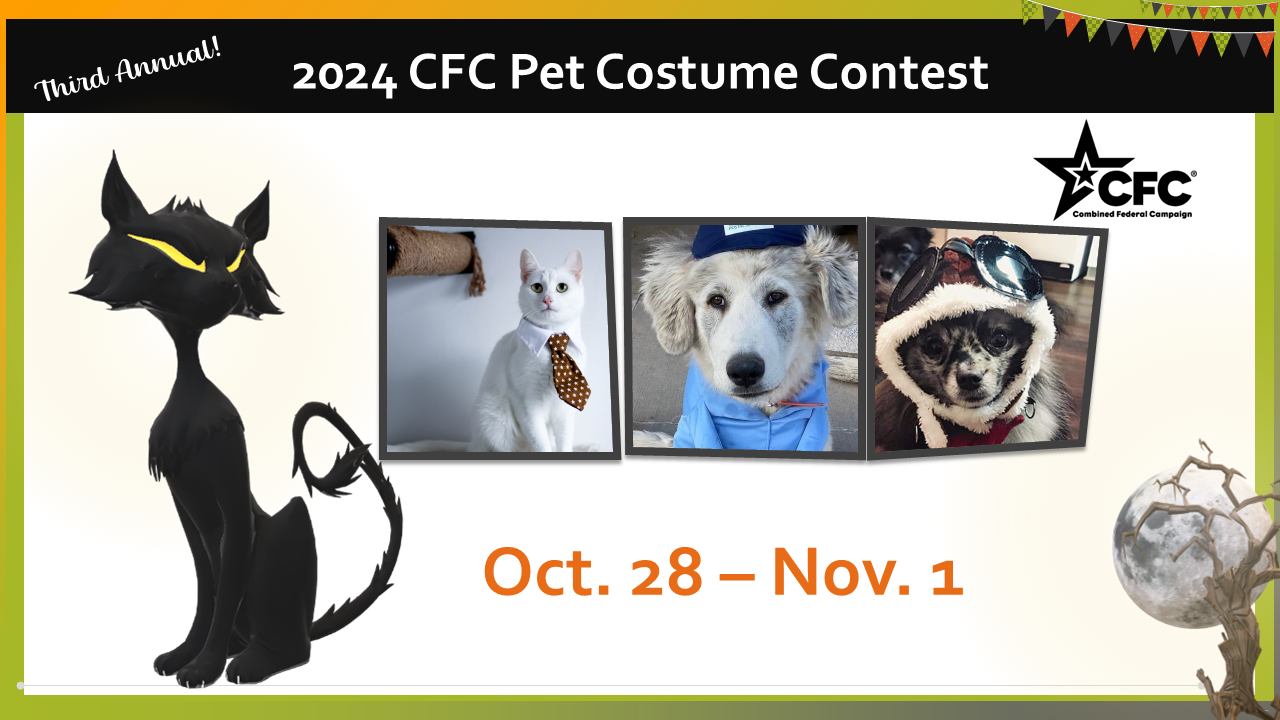 Pet costume contest flyer with the dates, CFC logo, and photos of dogs and cats in costume