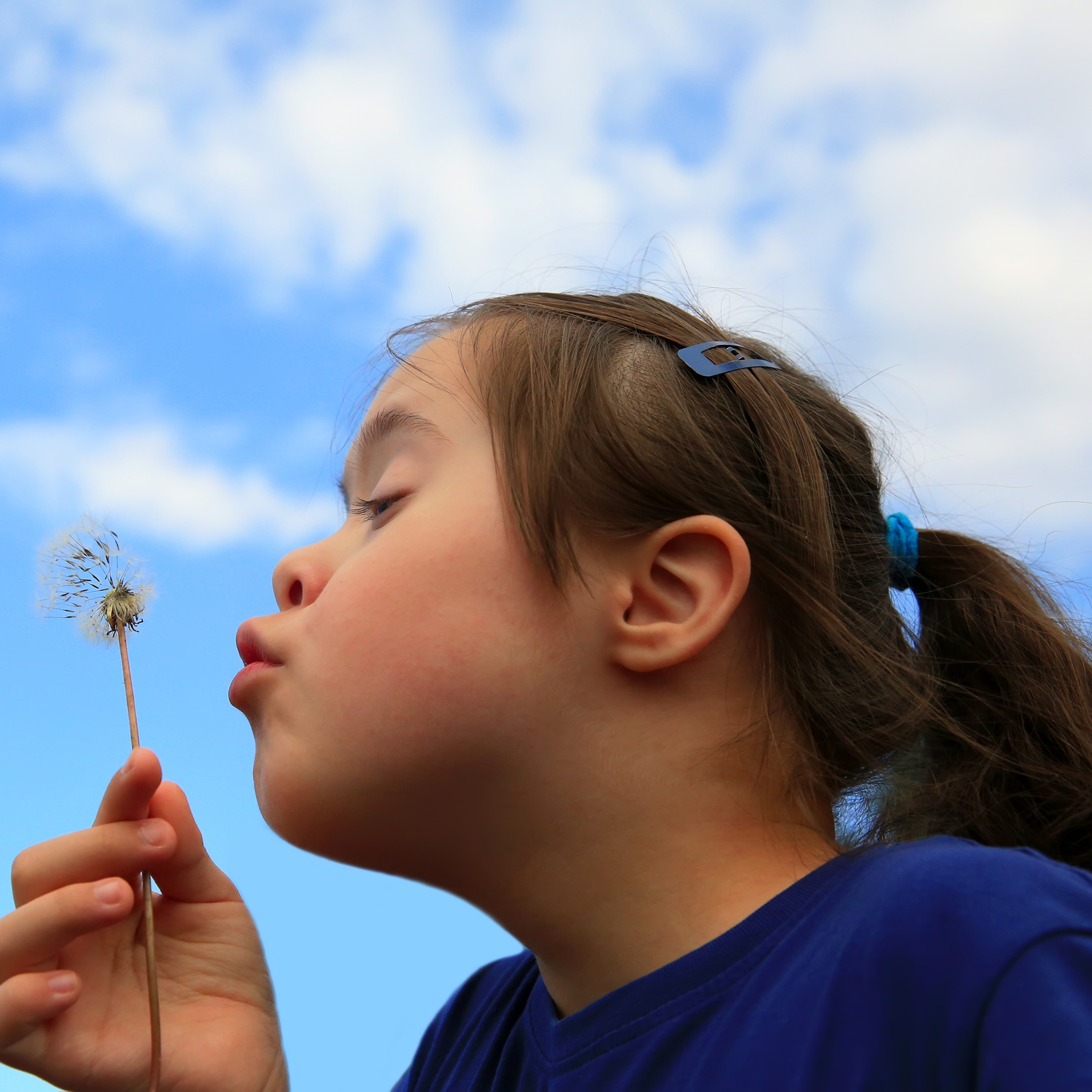 A girls blows a dandelion puff in front of blue sky with white clouds