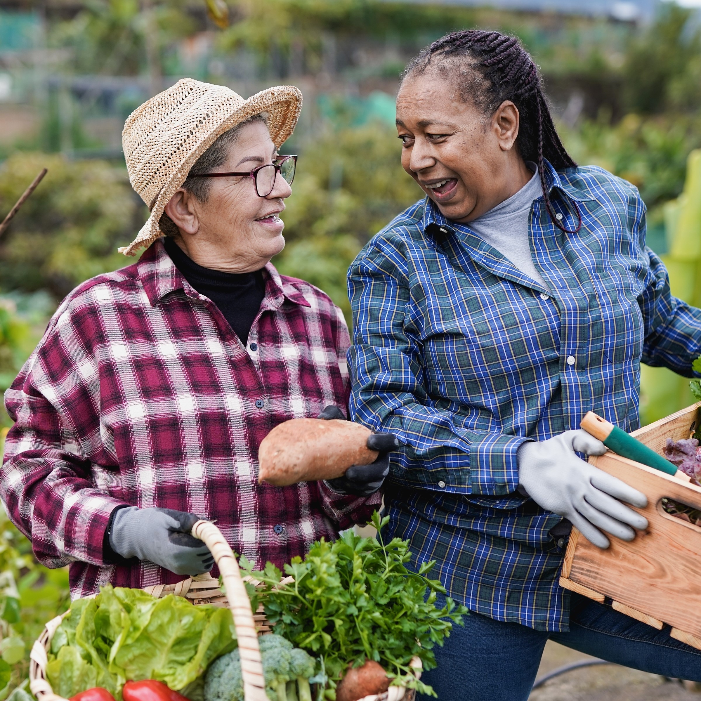Two mature women laugh together in garden
