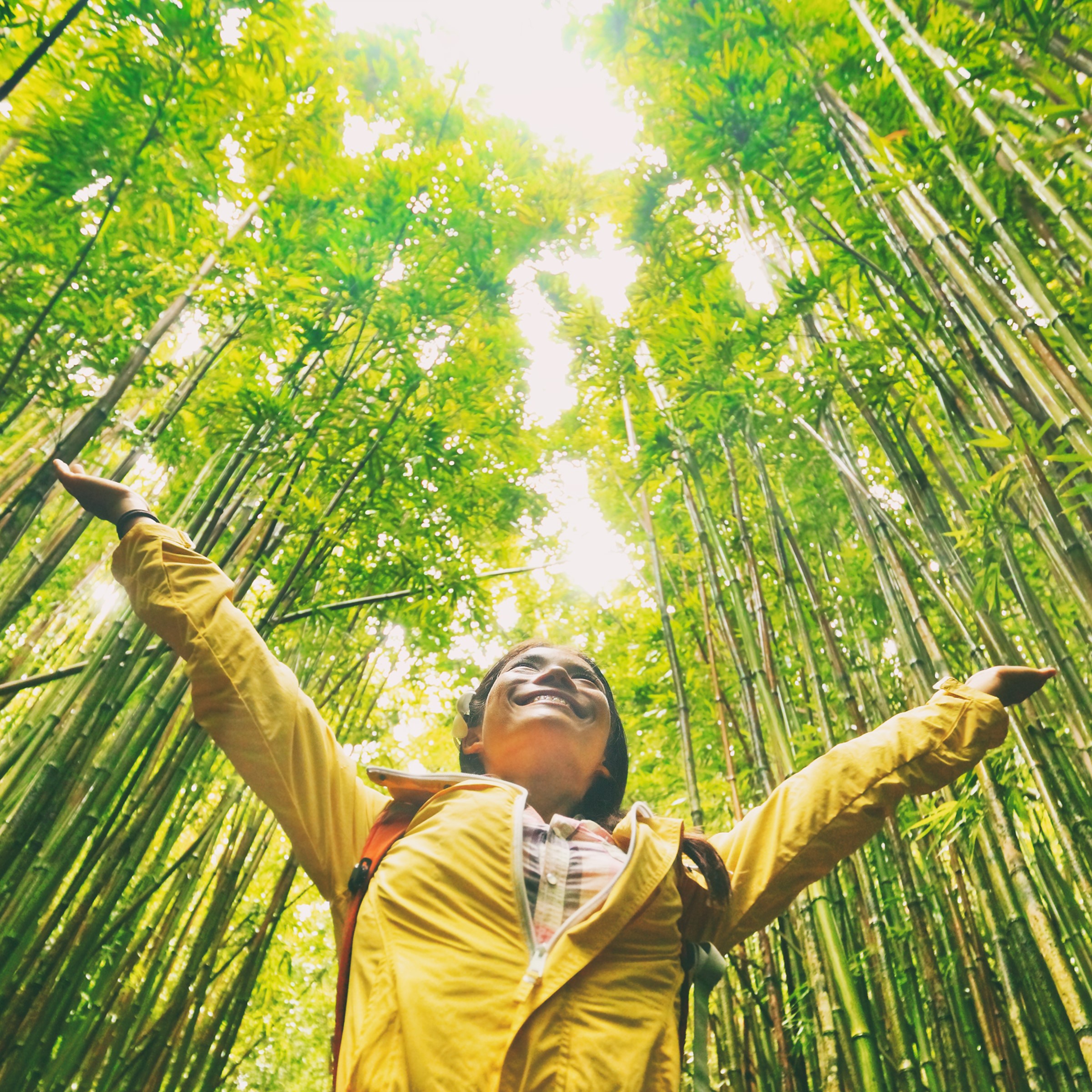 A woman in a yellow jacket raises her arms in a bamboo forest