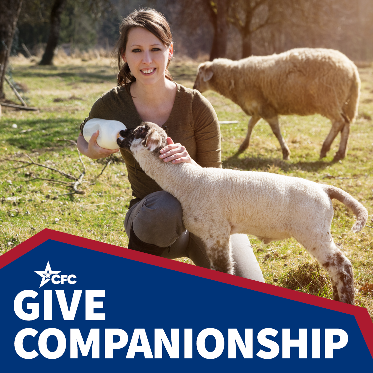 a woman bottle feeding a lamb with GIVE COMPANIONSHIP in red and blue color block