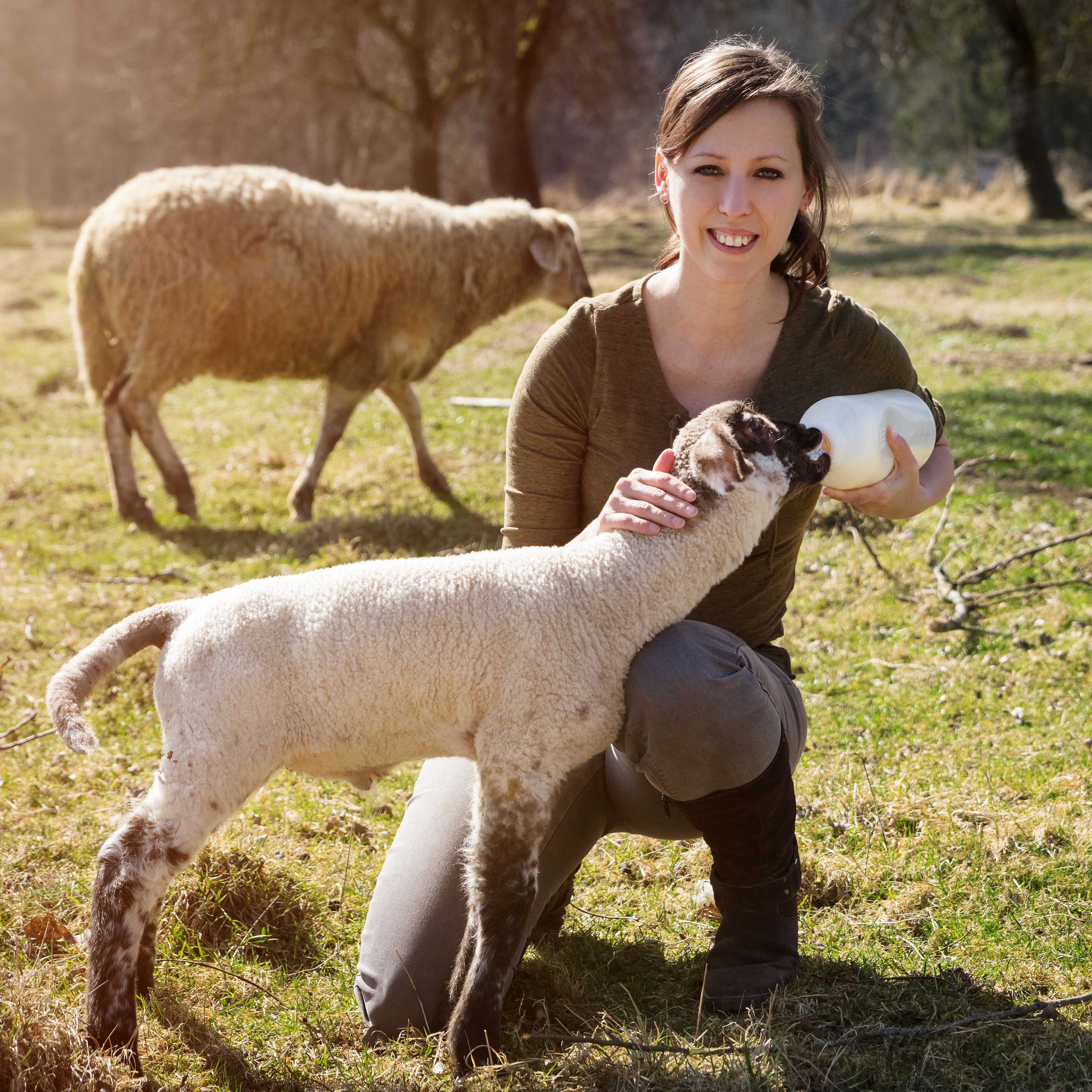 a woman bottle feeding a lamb