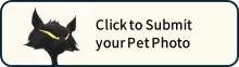 Button to submit a pet photo